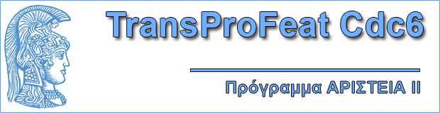 transproright